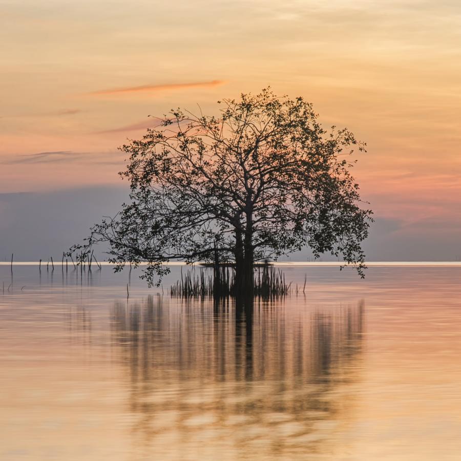 Rimlay Park Resort Phatthalung Buitenkant foto